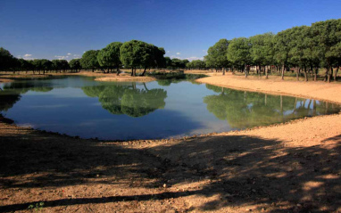 Lago situado en las inmediaciones