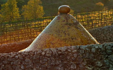 Cúpula de la bodega Albet i Noya