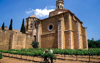 Los monjes de Poblet trajeron siglo XVI la Pinot noir de Borgoña.