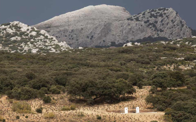 Paisaje de la Serranía de Ronda