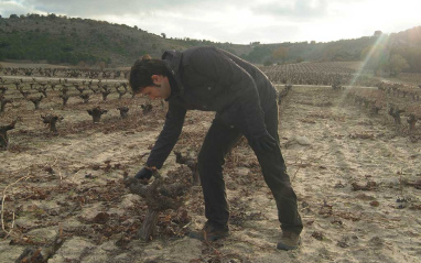 Trabajo a pie de campo