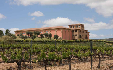 Pago Aylés bodega 