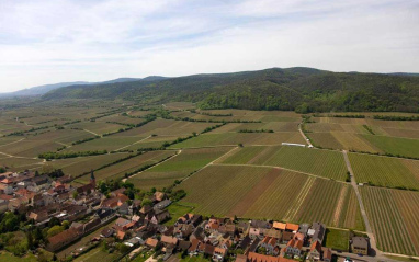 Vista aérea del viñedo