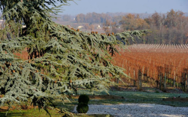 Entorno de la finca