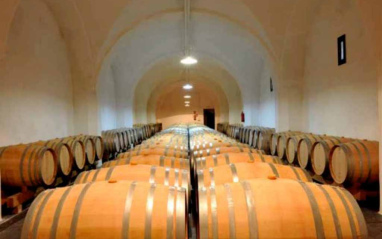 Sala de crianza