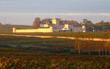 Panorámica de viñedos