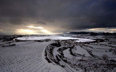 Viñedo nevado