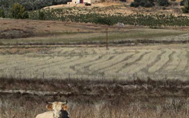 La bodega al fondo