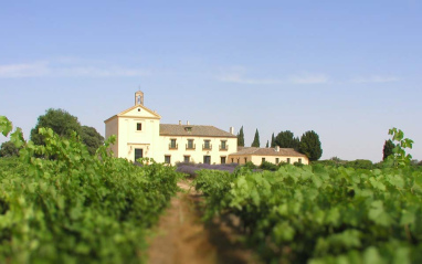 Panorámica de la finca del Marqués de Griñón