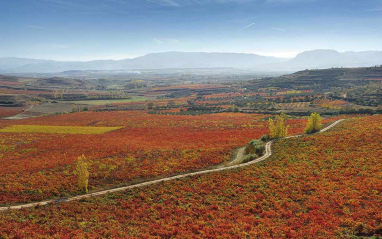 Los colores otoñales en La Rioja