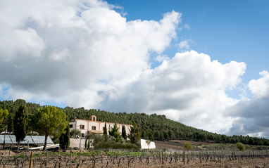 Panorámica de viñedos y bodega