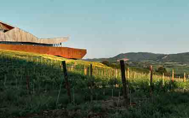 Panorámica de bodega