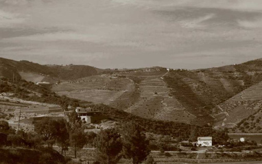 Niepoort