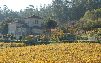 Vista del pazo y del viñedo