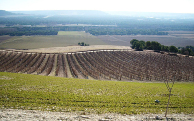 Panorámica del entorno