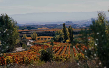 Vista del valle de Remelluri