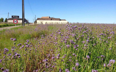 Primavera en Le Bon Pasteur