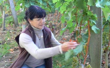 Murielle Andraud en la viña 