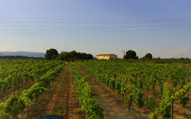 La bodega al fondo