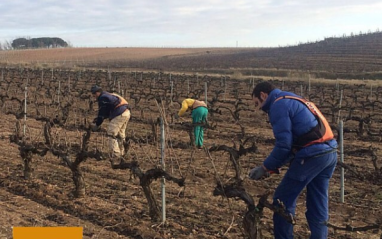 Trabajo en invierno