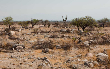 Zona semi-árida donde se ubica el viñedo