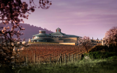 Vista de la bodega Vivanco