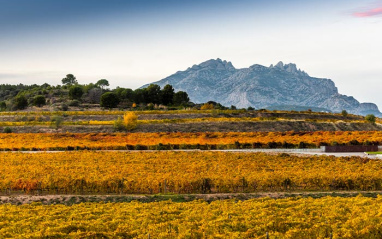 Panorámica del entorno del viñedo