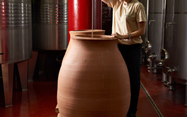 Trabajos en bodega