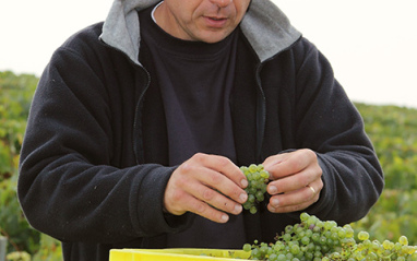 Frédéric Ellner