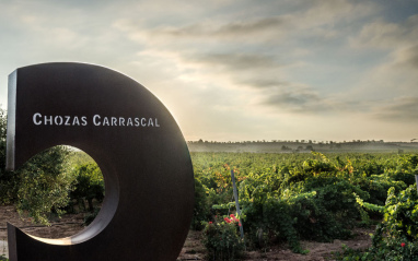 Viñedo con cartel de Chozas Carrascal