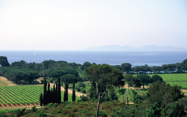 Viñedos de Clos Mireille en La Londe