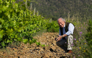 Christopher Cannan en el viñedo