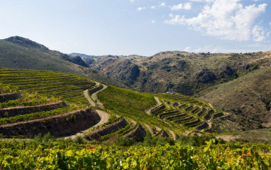 Laderas del Parque Natural del Douro