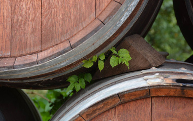 Bodegas Cornelio Dinastía