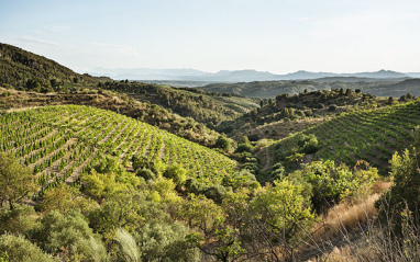 Paisaje prioratino