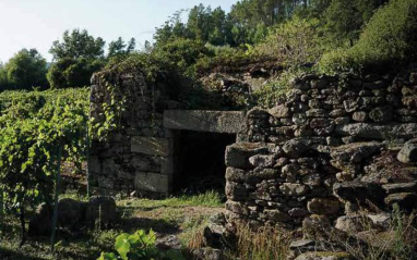 Bodega antigua