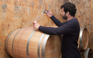 En la bodega subterránea.