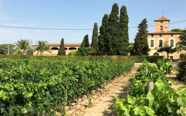 Vista de la entrada