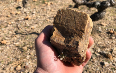 Piedras en el viñedo