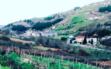 Viñedos en Cangas de Narcea