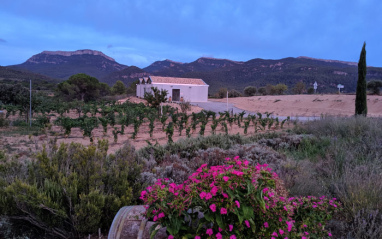 Flores en el viñedo