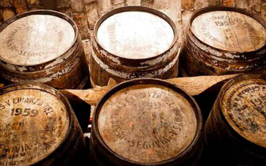 Sala de barricas Sala de barricas