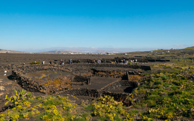 Bodega El Grifo