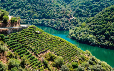 Ribeira Sacra