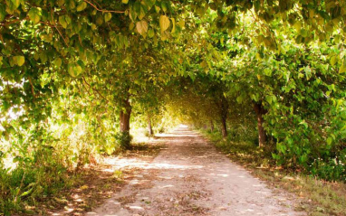 Entrada a la finca