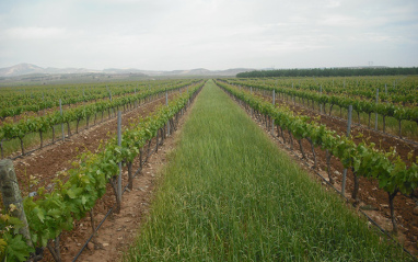 Finca el Tordillo