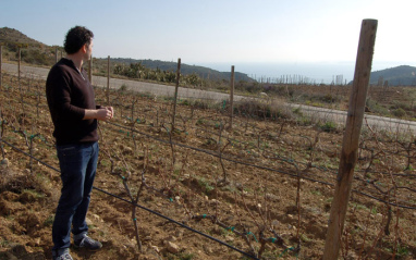 Seijás supervisando el viñedo