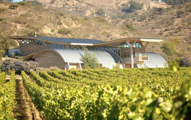 Viñedo con bodega al fondo