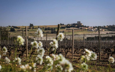 Panorámica del entorno