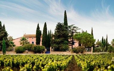 Vista de la finca